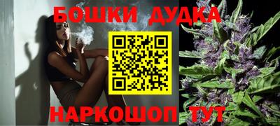 мдпв Гусев