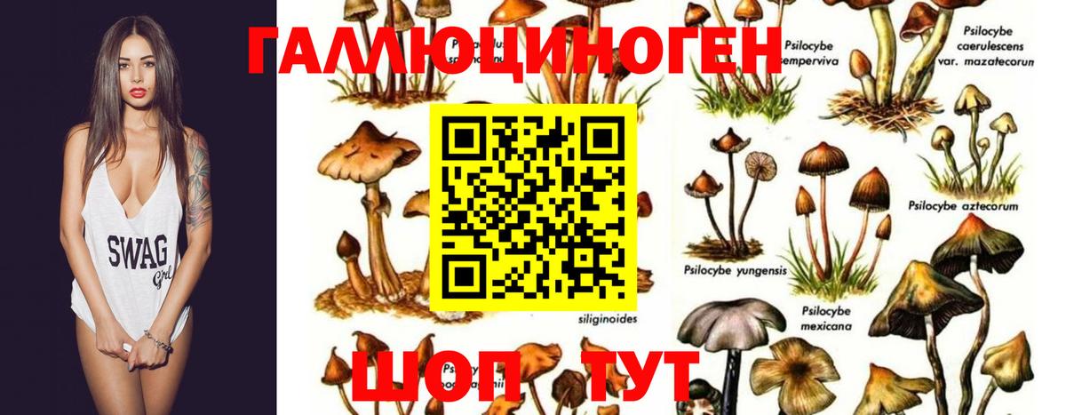 Вышний Волочёк  Галлюциногенные грибы MAGIC MUSHROOMS  Галлюциногенные грибы мицелий  Вход с VPN 