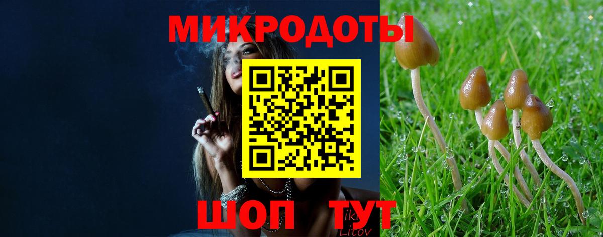 Галлюциногенные грибы Magic Shrooms Вышний Волочёк